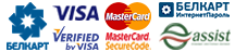 payment icons finish